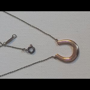 Tiffany Gold Horseshoe Necklace